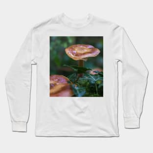 Beautiful watery mushrooms in a bed of green muss in a forest. Long Sleeve T-Shirt